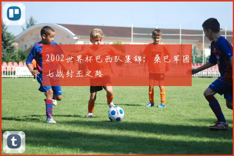2002世界杯巴西队集锦：桑巴军团七战封王之路